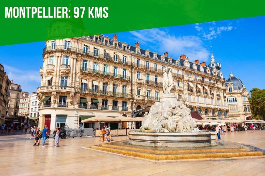 Le Vieux Sextier - Ac Clim - Lumineux - Wifi - Hypercentre Apartment Avignon Ngoại thất bức ảnh